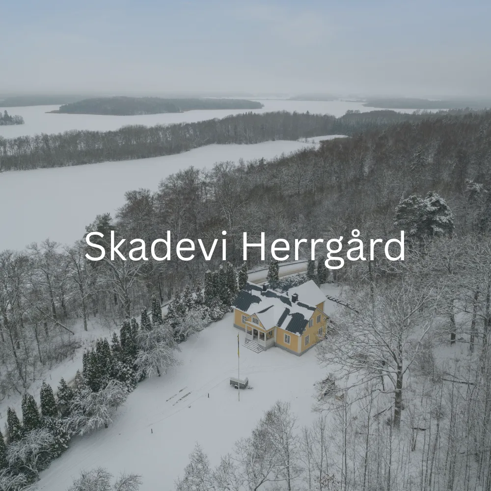 Skadevi Herrgård vintertid